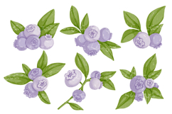 A set of ripe wild blueberries. Product Image 1