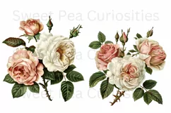 Flowers, Clipart, Ephemera, PNG, Junk journal Product Image 2