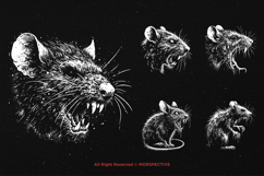 10 Bundle Dark Art Rat Mouse Horror Animal Beast Scary Product Image 3
