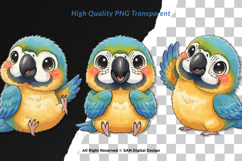 15 Bundle Watercolor Colorful Baby Parrot Cute Bird Macaw Product Image 2