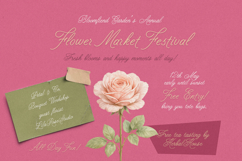 ScribeTales - Elegant Organic Script Product Image 2