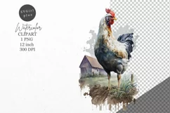 Rooster clipart, Farm animals clipart, Rooster sublimation Product Image 1