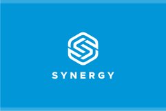 Synergy - Letter S Hexagon Logo Template Product Image 1