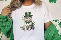 St Patricks Day Cats Clipar, Bundle, St Patricks Day Cats Product Image 3