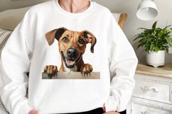 Peeking Dog Collection Clipart Product Image 2