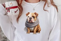Cold Weather Dogs Sublimation Clipart, Christmas PNG Product Image 2