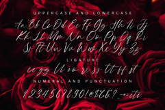 Camalla Rose Product Image 2