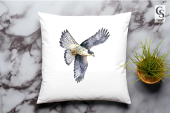 Peregrine Falcon Bird Illustration Clipart Sublimation PNG Product Image 2