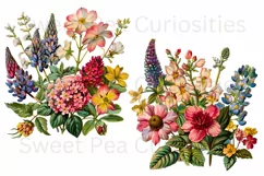 Flowers, Junk Journal, PNG, Clipart, Ephemera, Botanical Product Image 2