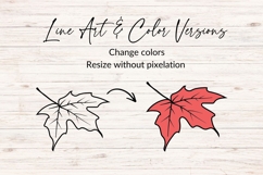 Hand Drawn Maple Leaf SVG Product Image 2