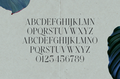 Emotive Type Headline Edition Product Image 2