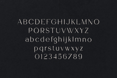 Garner Organic Handmade Serif Font Product Image 2