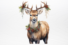Pink Christmas Collection Sublimation PNG Product Image 2