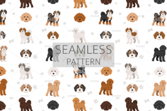 Cockapoo. Cocker Spaniel-Poodle mix Product Image 6