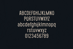 Ecliso Rough Edition Vintage Distressed Sans Serif Font Product Image 2