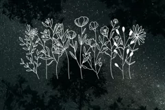 Wildflower border SVG PNG EPS Product Image 2
