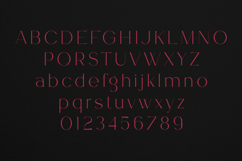 Tweedle Display Font Elegant Modern Serif for Branding Product Image 2