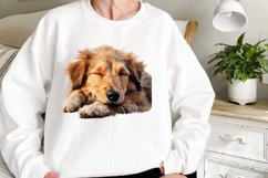 Cute Sleeping Dogs Clipart Product Image 2