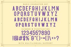 Eurosina - Vintage Serif Victorian Font Product Image 8