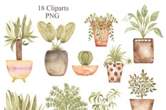 Watercolor Houseplants clipart set Product Image 2