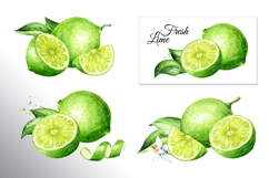 Lime citrus. Watercolor collection Product Image 3