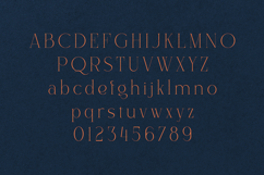 Alora Serif Font Modern Luxury Display Typeface Product Image 2
