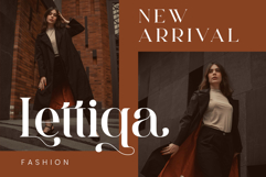 Shasti Product Image 2