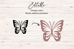 Butterfly SVG, Butterfly Clipart Product Image 2