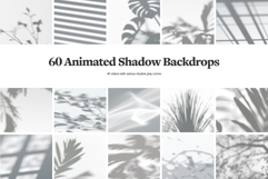 Shadow Backdrops Videos Collection Product Image 2