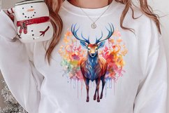 Beautiful Christmas Watercolor Clipart, Beautiful Christmas Product Image 2