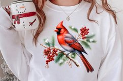 Christmas Cardinal Watercolor Clipart, Christmas Cardinal Product Image 2