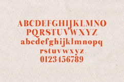 Preta Organic Serif Font Product Image 2