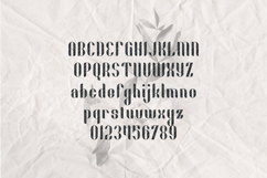 FIKA LINES Display Font Product Image 2
