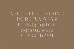 Tweedle Delicate Elegant Serif Font Product Image 2