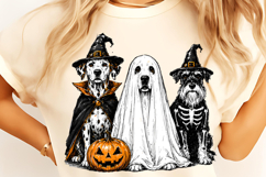 Raccoon Ghost PNG, Trending Halloween PNG, Halloween Dog PNG Product Image 3
