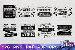Sarcastic Quotes SVG Bundle | Funny Quotes SVG | T Shirt v.2 Product Image 5
