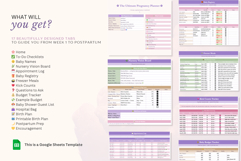 Pregnancy Planner Excel Spreadsheet Product Image 2