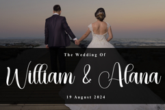 Butterflyies Product Image 2