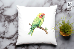 Cute Parrot Watercolor Clipart Sublimation PNG Product Image 2