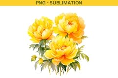 Yellow Peonies PNG Digital Download Product Image 2
