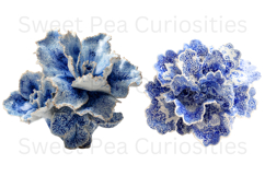 Blue Toile, Ephemera, PNG, Clipart, Junk Journal, flowers Product Image 2