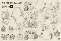Pomegranate Procreate stamp brushes Product Image 2