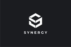 Cube Letter S logo design vector template Product Image 2