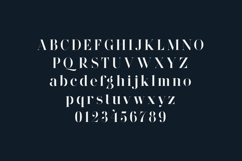 Wonderz Prime Luxury Modern Serif Font Product Image 2