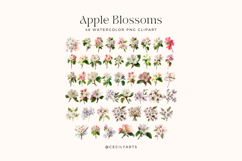Watercolor Apple Blossoms Clipart Bundle Product Image 2