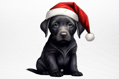 Christmas Dog Sublimation Clipart PNG Product Image 2