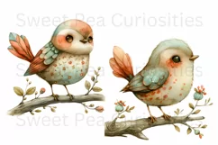 Bird, Boho, Ephemera, PNG, watercolor, Clipart Product Image 2