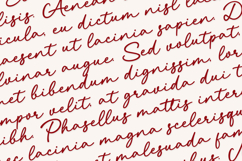 Bellama a Signature Font Product Image 2