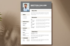 16 Professional Resume CV - Canva Product Image 2