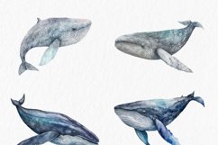 Whales Watercolor Clipart PNG Product Image 2